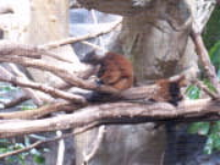 100_5270.jpg